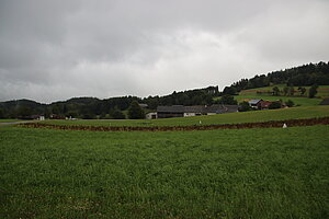 Reichenau im Freiwald