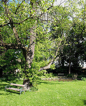 Schlosspark Mühlbach am Manhartsberg