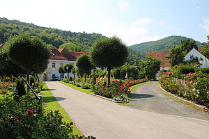 Pitten, Pfarrhof, historischer Garten