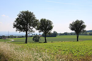 Blick von der Pfarrkirche in Neidling Richtung Voralpen