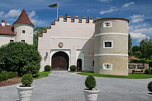 Waldreichs, Schloss Waldreichs, ab 1530 Um- und Ausbau zu Wasserschloss, nach Plünderung 1620 Wiederaufbau