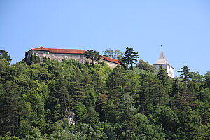 Pitten, Burg Pitten