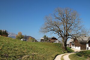 Gehöftgruppe auf dem Joachimsberg