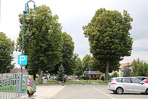 Leopoldsdorf im Marchfeld, neugestalteter Anger