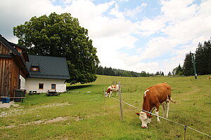 St. Anton an der Jeßnitz, Hochbärneck