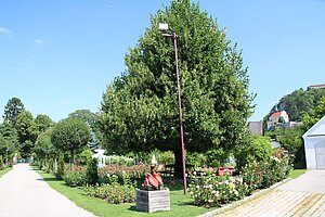 Pitten, Pfarrhof, historischer Garten