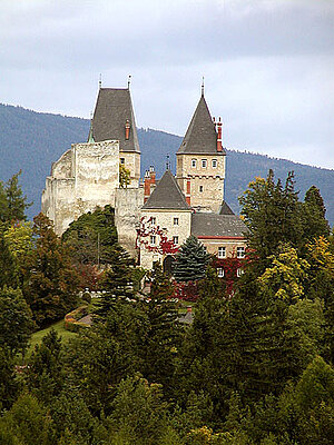 Burg Wartenstein