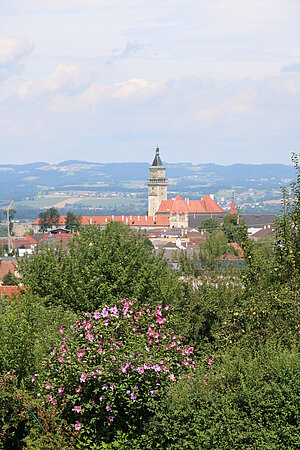 Wallsee, Blick von Sindelburg auf Wallsee