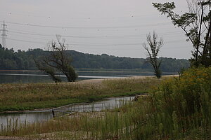 Altenwörth, Erholungsraum rund um den Altarm der Donau
