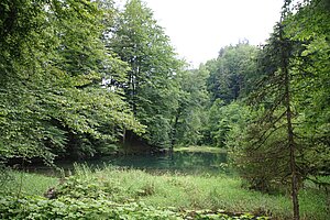 St. Anton an der Jeßnitz, der durch einen Felssturz entstandene Antonisee