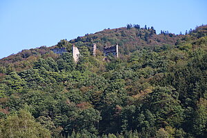 Zelking, Burgruine Zelking am Hang des Hiesberges, hochmittelalterliche Ringburg, im 16. und 17. Jh. stark umgebaut