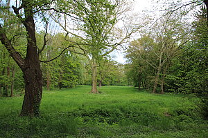 Schlosspark in Sierndorf