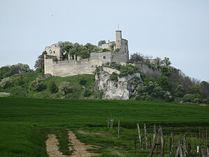 Ruine Falkenstein