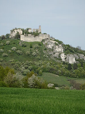 Ruine Falkenstein