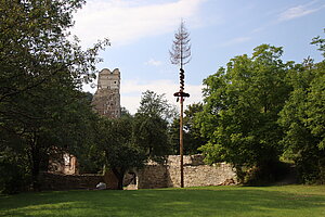 Streitwiesen, Burgruine