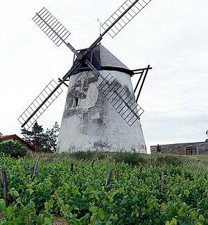 Retz Windmühle
