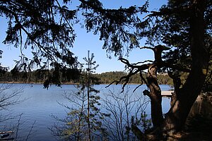 Edlesberger Teich bei Gutenbrunn