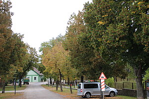 Pernersdorf, Blick in die Kellertrift