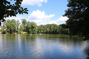 Herrensee in Litschau