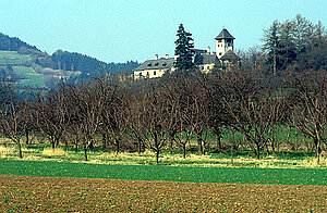 Burg Oberranna