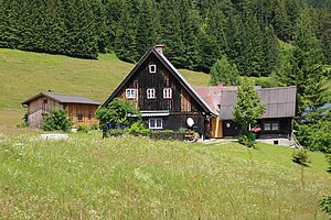 Lahnsattel - Donaudörfl, Häuser der ehemaligen Holzarbeiter- und Köhlersiedlung, m Kern 1. Hälfte 19. Jh.
