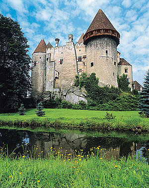 Heidenreichstein, Burg