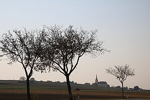 Hohenruppersdorf, Blick zur Kirche Hl. Kreuz, auf einer Terrasse am östlichen Ende des Marktpkatzes gelegen