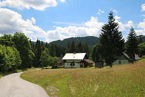 Lahnsattel - Donaudörfl, Häuser der ehemaligen Holzarbeiter- und Köhlersiedlung, m Kern 1. Hälfte 19. Jh.