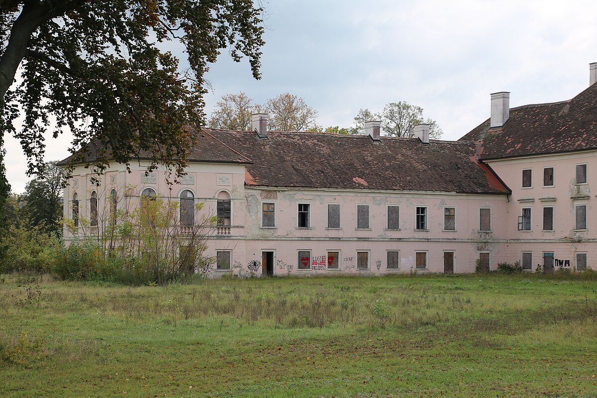 Ich habe an jedem neuen Projekt Spa. Drei Begriffe zu Ihrer Ttigkeit? Zeitintensiv, Vielseitigkeit und immer neue Leute kennenlernen. 13.09.17. Bianca Mrak. Trautmannsdorf an der Leitha in Bruck an der Leitha - Thema