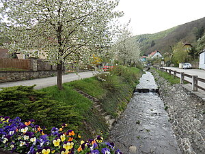 Aggsbach Markt, Endlingbach