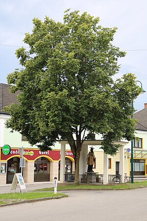 Neumarkt an der Ybbs, Marktplatz mit Statue des hl. Johannes Nepomuk unter moderner Dachkonstruktion