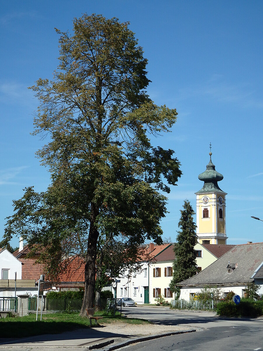 Hadersdorf Am Kamp Haus Zu Verkaufen Hadersdorf Am Kamp Haus Zu Verkaufen