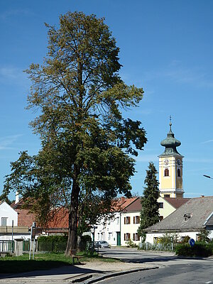 Hadersdorf am Kamp, Blick auf die Pfarrkirche