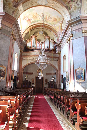 Groß-Siegharts, Pfarrkirche hl. Johannes d. Täufer, Blick gegen die Orgelempore, Bau ab 1722 nach Plänen von Donato Felice d'Allio