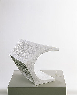 Brigitte Sasshofer, Leeres Haus, 2001