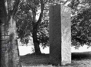 Rückriem Stein
