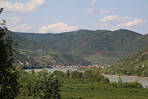 Donautal bei Willendorf