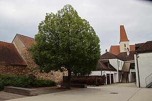 Inzersdorf ob der Traisen