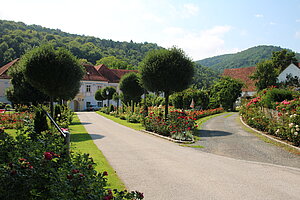 Pitten, Pfarrhof, historischer Garten