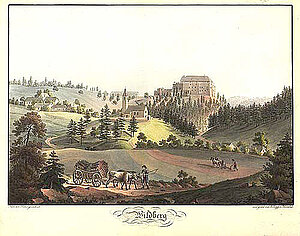 Schloss Wildberg, Lithografie, Anton Köpp von Felsenthal, 1814, NÖ Lb