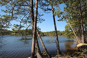 Edlesberger Teich bei Gutenbrunn