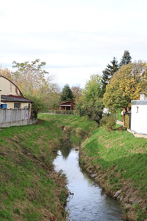 Sieghartskirchen, Ufer der kleinen Tulln