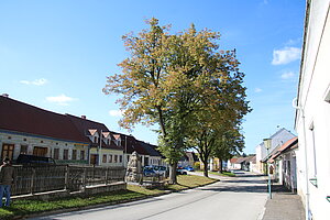Ludweis, geschlossene, überweigend eingeschossige Bebauung des Straßenplatzes, schlichte Putzfassaden des 19. und frühen 20. Jh.s