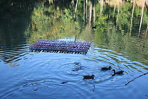 Sparbach, Tierpark, 1812 angelegt, Kunstinstallation auf dem Lenauteich